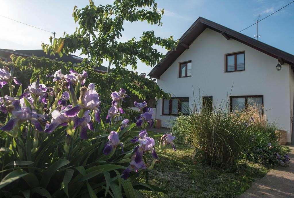 Apartments Osijek By The River Extérieur photo
